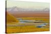 Mountains and Winding River in Tundra Valley-Momatiuk - Eastcott-Stretched Canvas