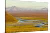 Mountains and Winding River in Tundra Valley-Momatiuk - Eastcott-Stretched Canvas