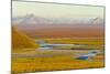 Mountains and Winding River in Tundra Valley-Momatiuk - Eastcott-Mounted Photographic Print