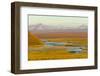 Mountains and Winding River in Tundra Valley-Momatiuk - Eastcott-Framed Photographic Print