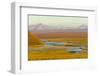 Mountains and Winding River in Tundra Valley-Momatiuk - Eastcott-Framed Photographic Print