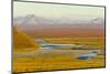 Mountains and Winding River in Tundra Valley-Momatiuk - Eastcott-Mounted Photographic Print