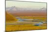 Mountains and Winding River in Tundra Valley-Momatiuk - Eastcott-Mounted Photographic Print