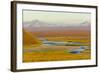 Mountains and Winding River in Tundra Valley-Momatiuk - Eastcott-Framed Photographic Print