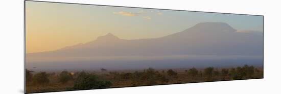 Mountains at Dawn View from Amboseli Park, Mt Kilimanjaro, Tanzania-null-Mounted Photographic Print