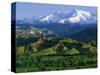 Mountains at Los Padres National Forest-Bruce Burkhardt-Stretched Canvas