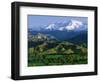 Mountains at Los Padres National Forest-Bruce Burkhardt-Framed Photographic Print