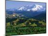 Mountains at Los Padres National Forest-Bruce Burkhardt-Mounted Photographic Print