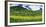 Mountains behind field of wildflowers and aspen trees, Aspen, Colorado, USA-Panoramic Images-Framed Photographic Print