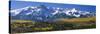 Mountains Covered in Snow, Sneffels Range, Colorado, USA-null-Stretched Canvas