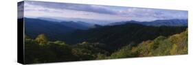 Mountains, Great Smoky Mountains National Park, Tennessee, USA-null-Stretched Canvas