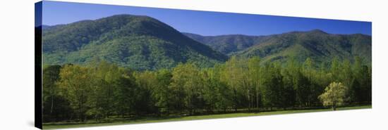 Mountains in a National Park, Great Smoky Mountains National Park, Tennessee, USA-null-Stretched Canvas