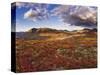 Mountains in fall colors-Jami Tarris-Stretched Canvas