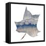 Mountains in the Leaf-Susan Bryant-Framed Stretched Canvas