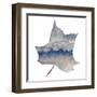 Mountains in the Leaf-Susan Bryant-Framed Art Print