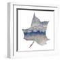 Mountains in the Leaf-Susan Bryant-Framed Art Print