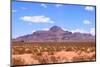 Mountains in the Middle of Sonoran Desert-SNEHITDESIGN-Mounted Photographic Print