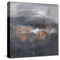 Mountains in the Mist IV-Joyce Combs-Stretched Canvas