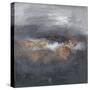 Mountains in the Mist IV-Joyce Combs-Stretched Canvas