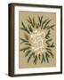 Mountains Kraft White-Cat Coquillette-Framed Giclee Print