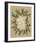 Mountains Kraft White-Cat Coquillette-Framed Giclee Print