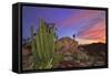 Mountains Near La Ventanaz, Baja California, Mexico-Christian Heeb-Framed Stretched Canvas