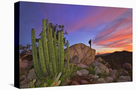 Mountains Near La Ventanaz, Baja California, Mexico-Christian Heeb-Stretched Canvas