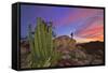 Mountains Near La Ventanaz, Baja California, Mexico-Christian Heeb-Framed Stretched Canvas