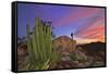 Mountains Near La Ventanaz, Baja California, Mexico-Christian Heeb-Framed Stretched Canvas