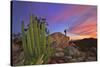 Mountains Near La Ventanaz, Baja California, Mexico-Christian Heeb-Stretched Canvas