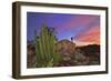 Mountains Near La Ventanaz, Baja California, Mexico-Christian Heeb-Framed Photographic Print