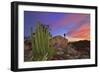 Mountains Near La Ventanaz, Baja California, Mexico-Christian Heeb-Framed Photographic Print