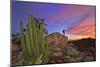 Mountains Near La Ventanaz, Baja California, Mexico-Christian Heeb-Mounted Photographic Print