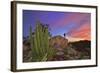 Mountains Near La Ventanaz, Baja California, Mexico-Christian Heeb-Framed Photographic Print