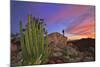 Mountains Near La Ventanaz, Baja California, Mexico-Christian Heeb-Mounted Photographic Print