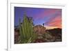 Mountains Near La Ventanaz, Baja California, Mexico-Christian Heeb-Framed Photographic Print