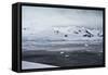 Mountains Neko Harbour, Antarctica-Albert Knapp-Framed Stretched Canvas