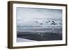 Mountains Neko Harbour, Antarctica-Albert Knapp-Framed Photographic Print