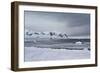 Mountains Neko Harbour, Antarctica-Albert Knapp-Framed Photographic Print