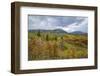 Mountains Of Aspens-Bill Sherrell-Framed Photographic Print