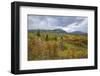 Mountains Of Aspens-Bill Sherrell-Framed Photographic Print