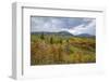 Mountains Of Aspens-Bill Sherrell-Framed Photographic Print