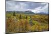 Mountains Of Aspens-Bill Sherrell-Mounted Photographic Print