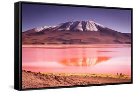 Mountains of Bolivia, Altiplano-Vladimir Krupenkin-Framed Stretched Canvas