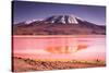 Mountains of Bolivia, Altiplano-Vladimir Krupenkin-Stretched Canvas