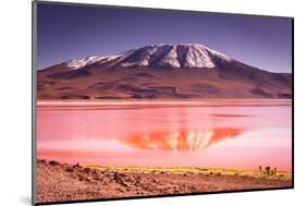 Mountains of Bolivia, Altiplano-Vladimir Krupenkin-Mounted Photographic Print