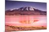 Mountains of Bolivia, Altiplano-Vladimir Krupenkin-Mounted Photographic Print