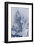 Mountains on South Georgia Island-null-Framed Photographic Print