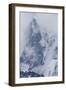 Mountains on South Georgia Island-null-Framed Photographic Print