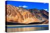 Mountains , Pangong Tso (Lake),Leh,Ladakh,Jammu and Kashmir,India-Rudra Narayan Mitra-Stretched Canvas